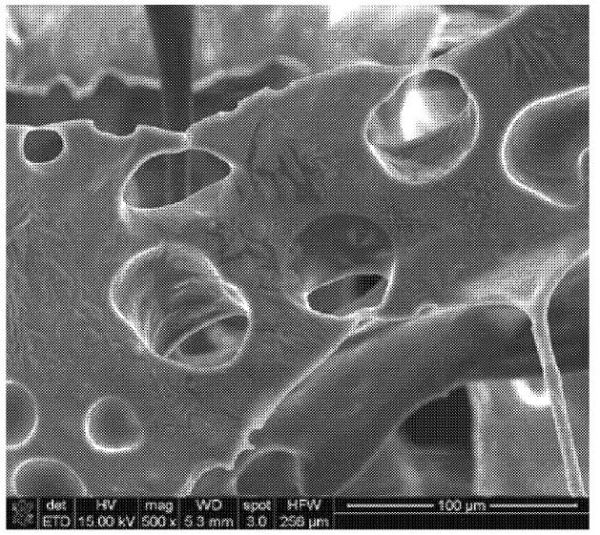 Foams cells showing porous struts 